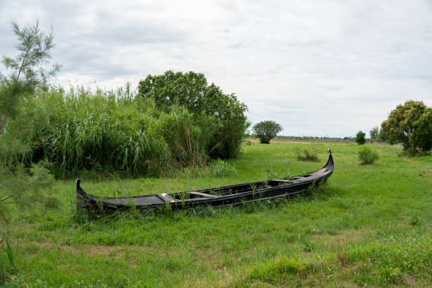 An old, weathered gondola sits abandoned in a vibrant, grassy meadow, partially overtaken by tall reeds and wild vegetation. The serene landscape showcases a mix of green flora under a cloudy sky, evoking a sense of calm and nostalgia. Perfect for themes of abandonment, nature reclaiming man-made objects, and tranquil rural scenes.