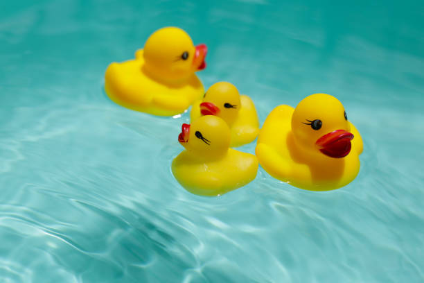 istock Cute yellow rubber ducks floating on blue water 2162314304