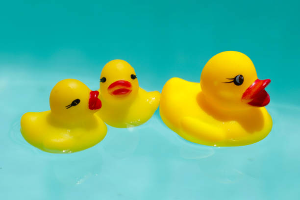 istock Cute yellow rubber ducks floating on blue water 2162314305