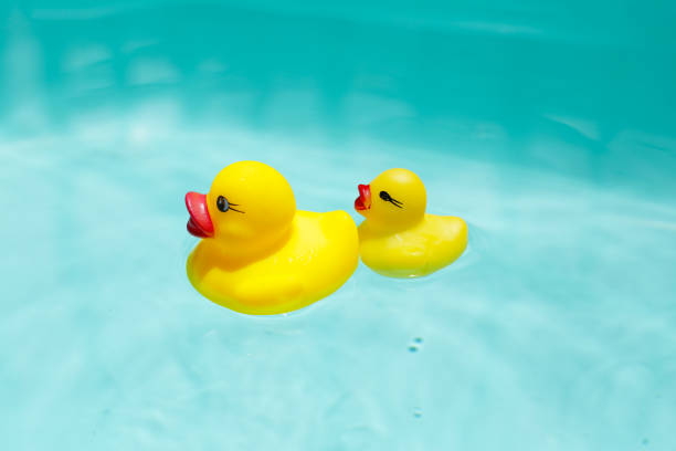 Cute yellow rubber ducks floating on blue water