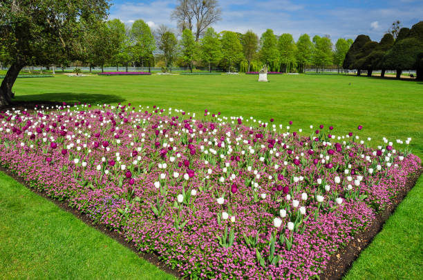 istock Spring flowers in Hampton court gardens, London, UK 2162315708