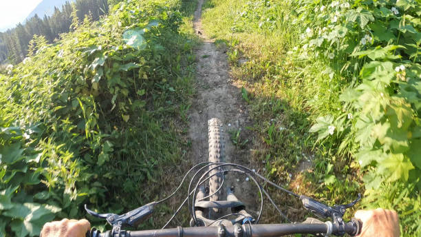 First person perspective of riding pathwayin mountain meadow, Canadian Rockies