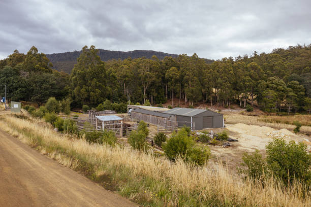 istock Roadside Selling in Tasmania Australia 2162319911