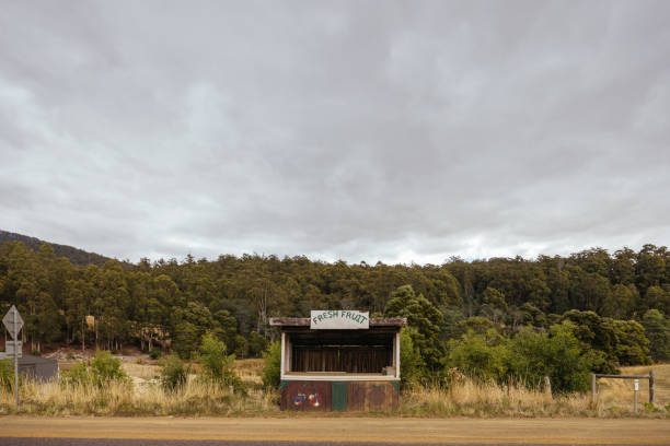 istock Roadside Selling in Tasmania Australia 2162319933