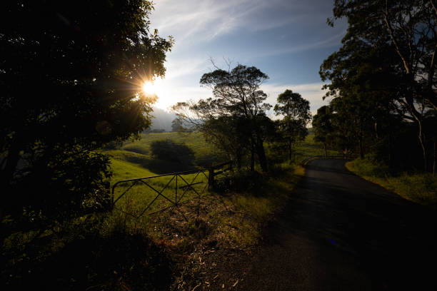 istock Central Tilba Landscape in Australia 2162320031