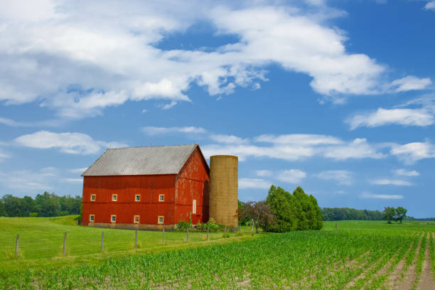istock Old Weathered Red Barn with silo and corn field-Carrol County, Indiana 2162320190