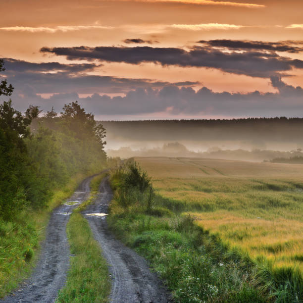 istock Countryside in harvest 2162332324