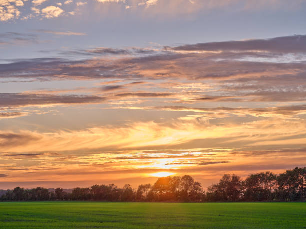 istock Green fields and blue sky in late summer early autumn 2162332352