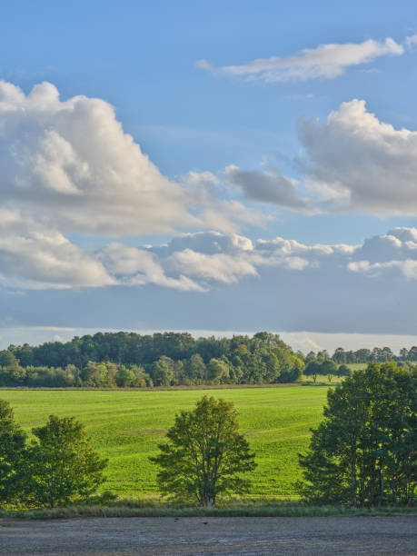 Photo of farmland & countryside in late summer early autumn made by Medium Format camera