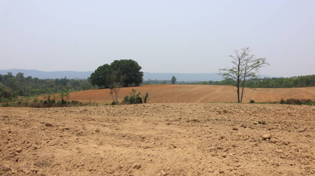 istock Orange ground on the hill 2162332464