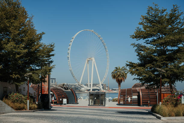 istock Ferris wheel at beach on a clear day with blue sky and palm trees 2162346638