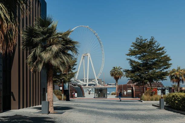 istock Ferris wheel at beach on a clear day with blue sky and palm trees 2162346640