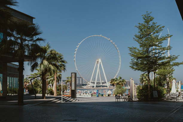 istock Ferris wheel at beach on a clear day with blue sky and palm trees 2162346704