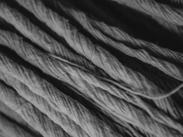 istock cotton fiber 2162348414