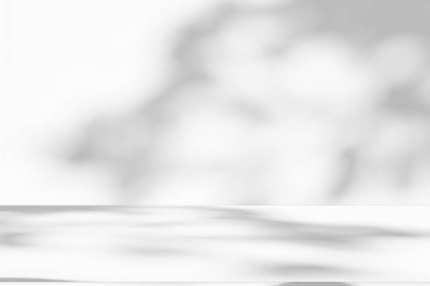istock Studio style background wall decoration presentation uses white tones. with shadows cast from a nearby window, concept creating a decorative backdrop. 2162350596