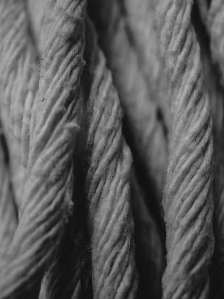 istock cotton fiber 2162353911