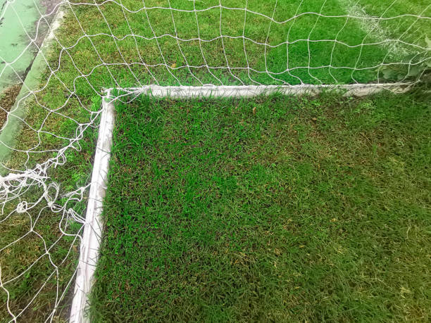 istock Empty soccer gate at the green grass stadium 2162355699
