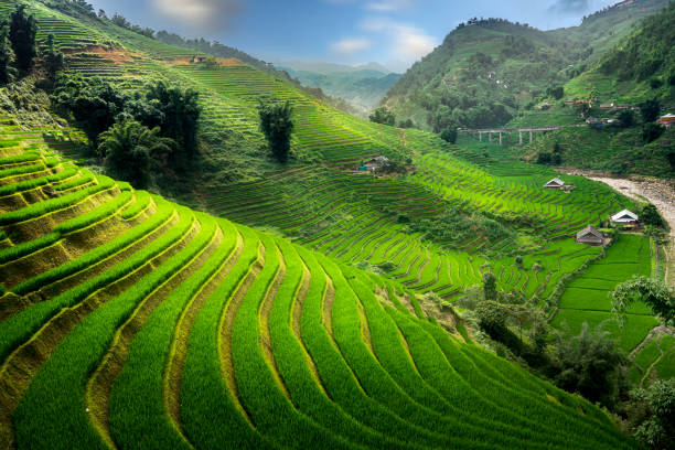 istock Sapa Vietnam 2162357658
