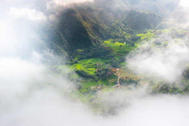 Terraced fields in Sapa, Vietnam, are a stunning and unique landscape feature, renowned for their beauty and agricultural significance. Nestled in the mountainous region of northern Vietnam, Sapa's terraced fields are primarily cultivated by the ethnic minority groups such as the Hmong, Dao, and Tay people.These terraces are ingeniously carved into the mountainsides, creating a series of steps that follow the natural contours of the land. This method of farming is not only visually striking but also highly practical, allowing farmers to maximize arable land in a region characterized by steep slopes and uneven terrain. The terraces help in reducing soil erosion and managing water efficiently, making them ideal for rice cultivation.
