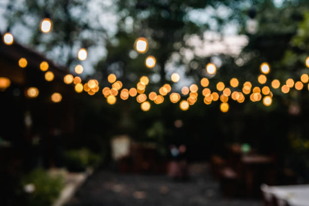 istock The Garden's Bokeh Background 2162362125
