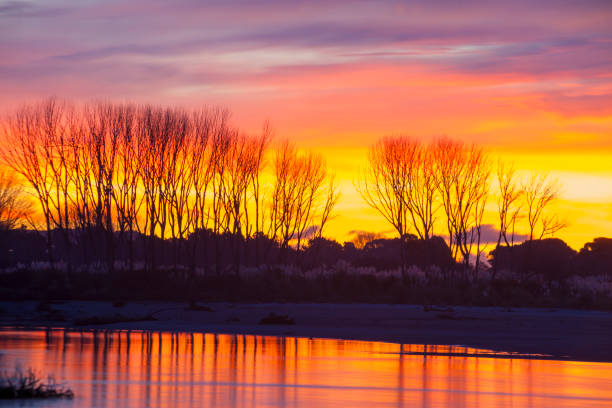 Instense sunset colours beyond bay water and silhouette landscape and leafless trees.