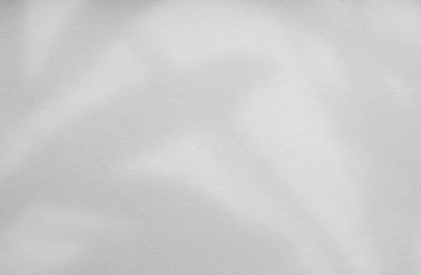 istock Shadow light summer background sunight overlay nature on room cement wall floor abstract blur muckup effect grey minimal platform for presentation product backdrop, wallpaper template display. 2162362929