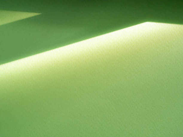 istock Green background shadow light overlay blur nature on cment floor wall backdrop, minimal room for presentation product tropical or ecosystem environment organic, platform empty abstract pastel. 2162363014