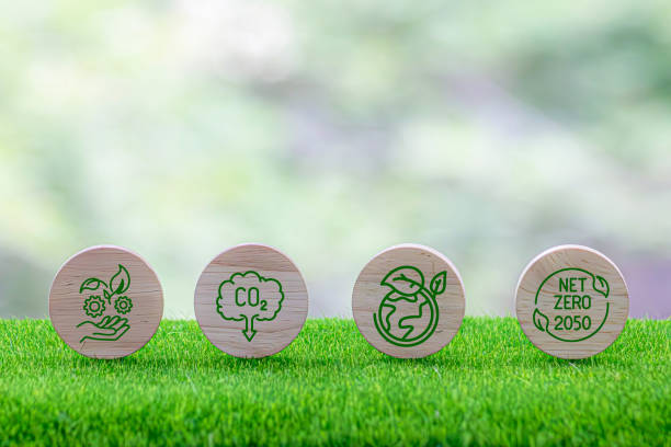 istock CO2 or environment, global warming, sustainable development and green business from renewable energy CO2 emission reduction concept, green icon on natural background wood block 2162364346