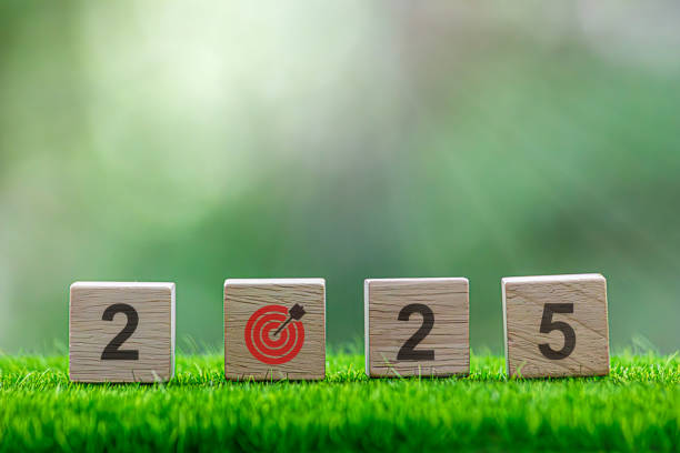 istock Action Plan 2025 Cube with text 2025 plans, goals, actions to list and plan for next year. Wooden cube with year 2025, plans, goals, actions, development towards success and motivation. 2162364402