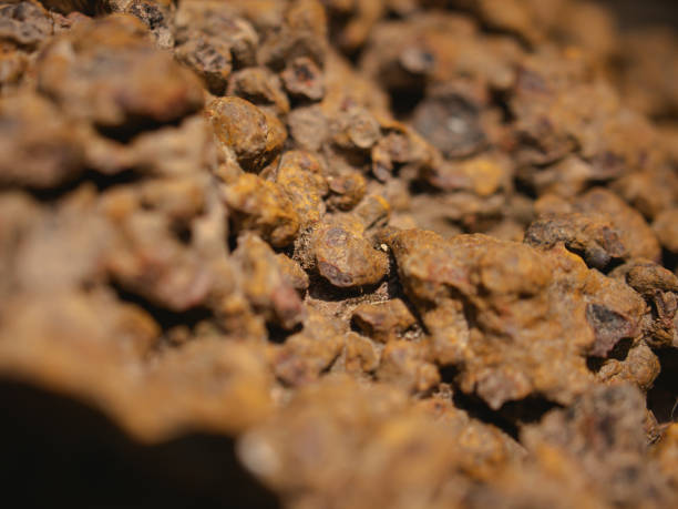 istock old rock detail 2162365412