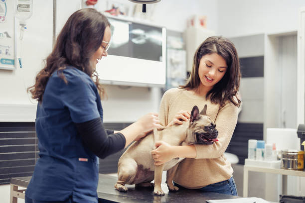 istock Veterinary Visit-Dog at the Vet 2162368281