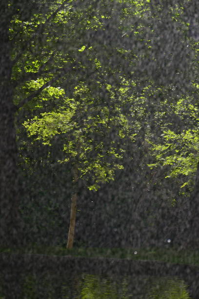 istock Caldes de Boi, the garden 2162368289