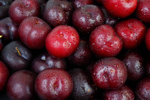 istock Plums fruits with water drops as background. 2162371647
