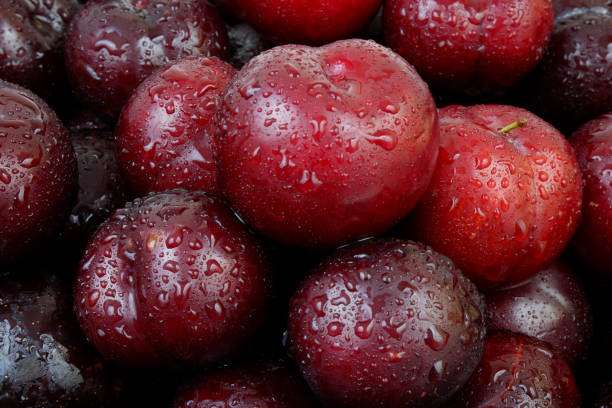 istock Plums fruits with water drops as background. 2162371662