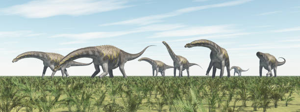istock Group of Argentinosaurus dinosaurs in a landscape 2162378647