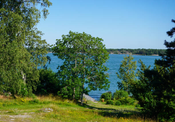 istock Scenic view of the archipelago during summer 2162381314