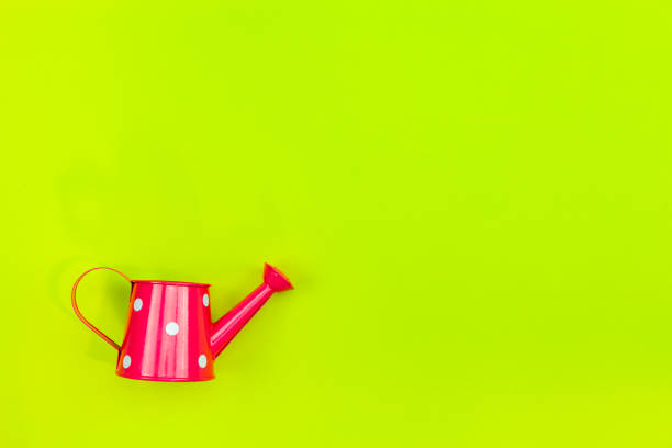 istock Watering can on yellow paper background Copy space 2162383240