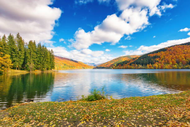 istock lake in mountains on a sunny day 2162383534