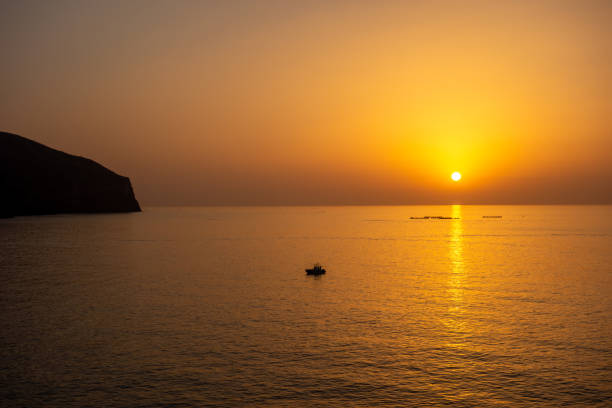 Sunset landscape