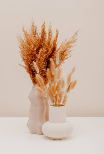 istock Elegant composition with vase set and dry pampas flower bouquet 2162386589