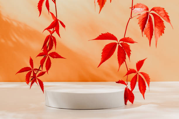 istock Empty product podium with red autumn leaves over orange background 2162386686