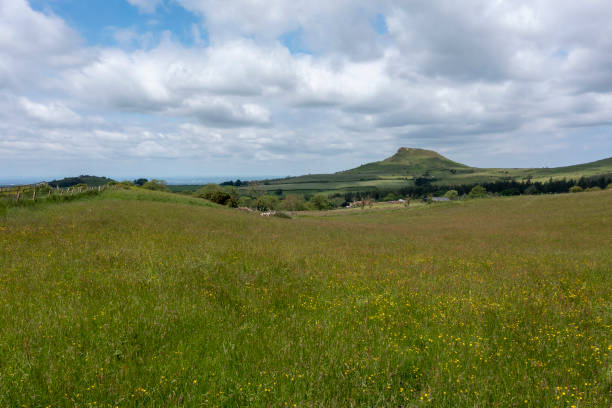istock Roseberry Topping and buttercup field 2162388454