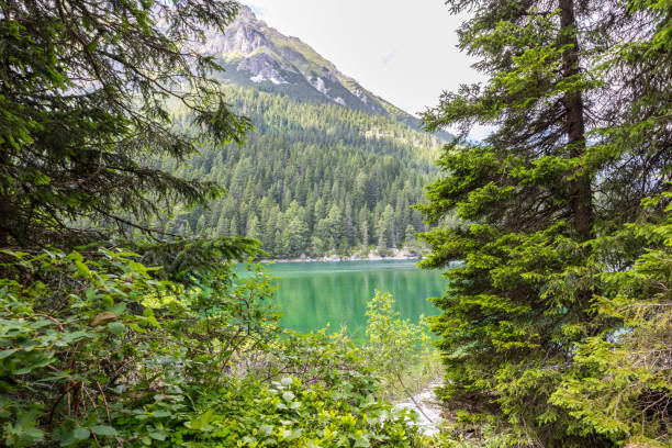 istock Obernberger See Pine Tree Mountain Lake View 2162389194