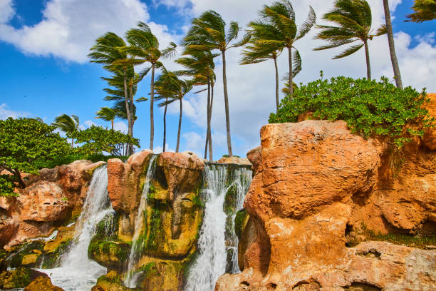 Tropical Waterfall Oasis with Palm Trees and Blue Sky
