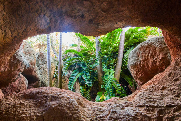 Tropical Paradise View from a Cave on Nassau, Bahamas