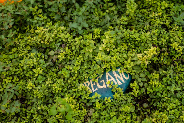 oregano spice and text oregano written in stone in botanic garden