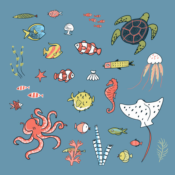 istock Set of hand drawn vector illustrations of sea animals in cartoon style. 2162397331