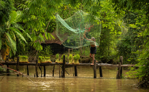 istock Fisherman atop the bridge netting fish in the river with a fishnet 2162401548