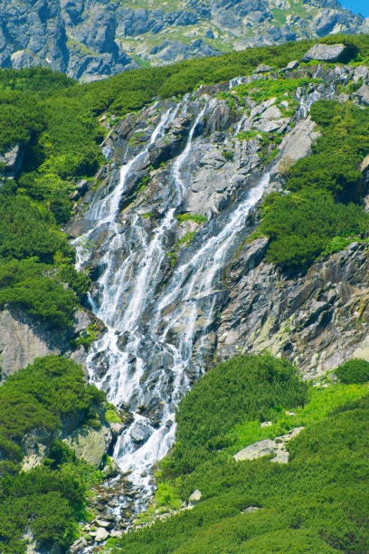 An aerial view of a cascading waterfall cutting through a dense forest, surrounded by mist and towering evergreen trees in a serene landscape.