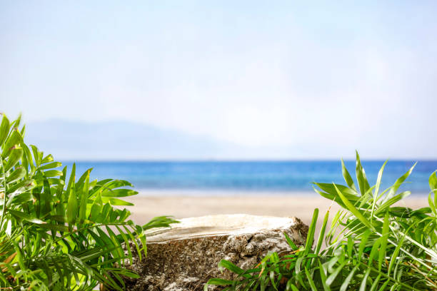 istock Wooden tree stump as a table background on a tropical beach with copy space. Product display montage inspiration. 2162402736
